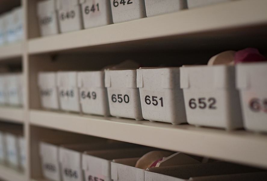 letting-go-of-labels-header